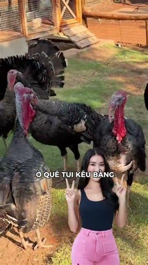 Dũng Gee Với Thử Thách Đoán Tên "Gà Lôi Hay Gà Tây" Và Pha Bẻ Lái Ngôn Ngữ Cực Gắt Của Vy Phạm