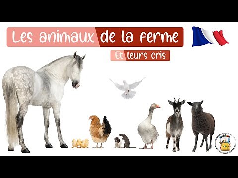 Learn Farm Animal Names In French - Animal Noises - Animal Cries For Kids