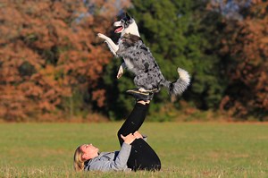 Dogdance: Der musikalische Hundesport | zooplus Magazin