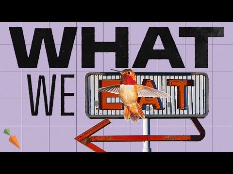 The Environmental Impact Of Our Food | What We Eat Documentary | Episode 4
