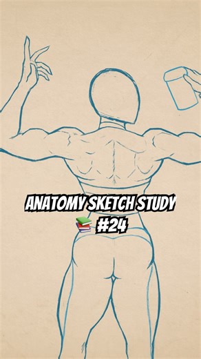 Female anatomy muscle #drawings #sketching #femaleanatomy #anatomystudy #anatomyart #animestyle