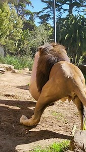 911K views · 10K reactions | Everyone loves a new toy! Ralph...