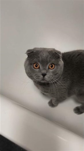 Buddy🤣🥰 Wannenrunde 😂