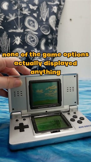 The MOST UNIQUE bootleg Nintendo DS