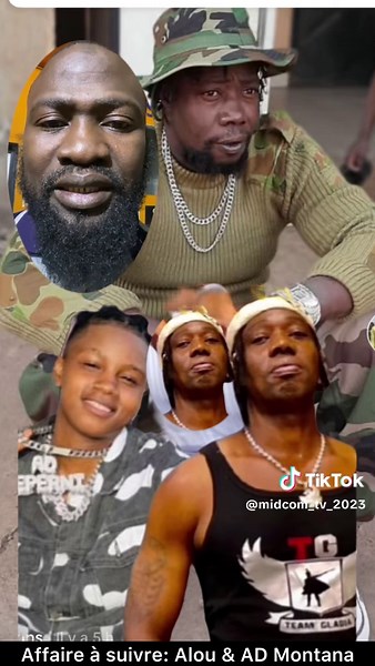 Iba le sage sur TikTok