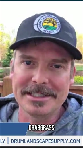 Late Lawn Fertilization: Dimension vs Prodiamine Explained!