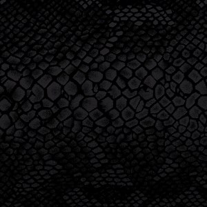 95K views · 340 reactions | Go with T-Rex Clear Repair Tape that works even on wet surfaces. Camping approved. | T-Rex Tape | Facebook