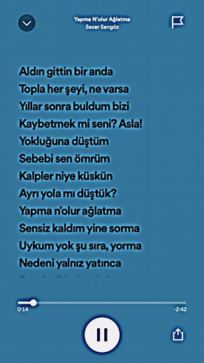 Yapma Ne Olur Ağlatma - Sezer Sarıgöz