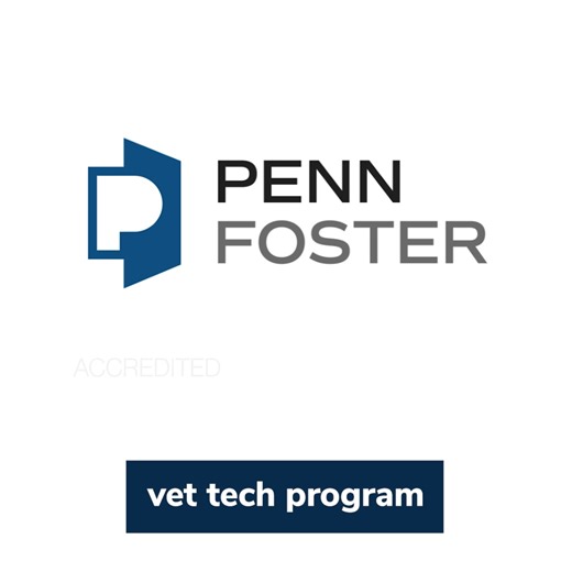 As a Penn Foster Vet Tech student, develop skills that employers look for, such as animal handling, clinical and lab skills. | Penn Foster