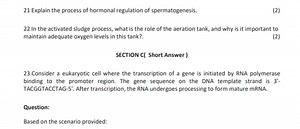 21 Explain the process of hormonal regulation of spermatogenesi... | Filo