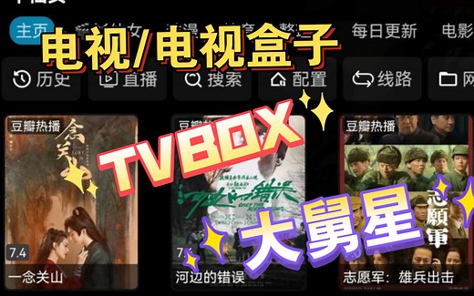 电视&电视盒子大舅星·TVbox·分享接口设置操作方法