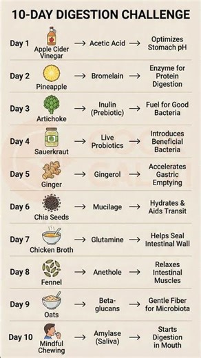 10 day digestion challenge
