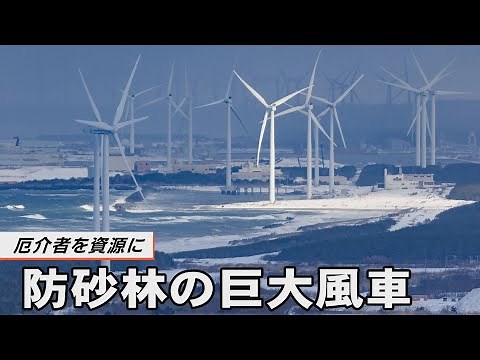 秋田「風力発電」