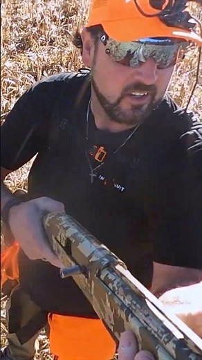 Pheasant Hunting NEVER Gets Old!!! #birdhunting #hunting #birds #birddog
