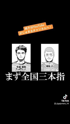 【切り抜き】ハイキュー!!特別番外編｢祭り再び｣のチーム編成について語ってみた③#ハイキュー #日向翔陽 #影山飛雄 #孤爪研磨 #及川徹#牛島若利#夜久衛輔#烏野高校 #木兎光太郎