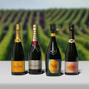 Celebrate the world’s finest champagnes, paired with four chef-crafted courses created for this TasteMaker Dinner event. | Ruth's Chris Steak House