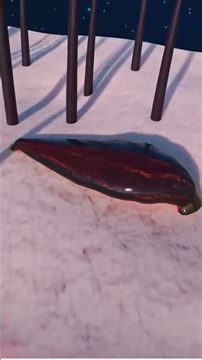 How Leech Therapy Works #leech #facts #therapy