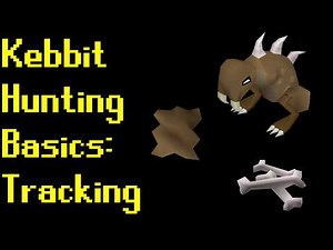 Basic Kebbit Hunting Guide 2019 (OSRS)