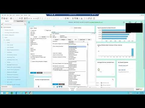 Mastering User Authorisations and UI Customisation in SAP Business One