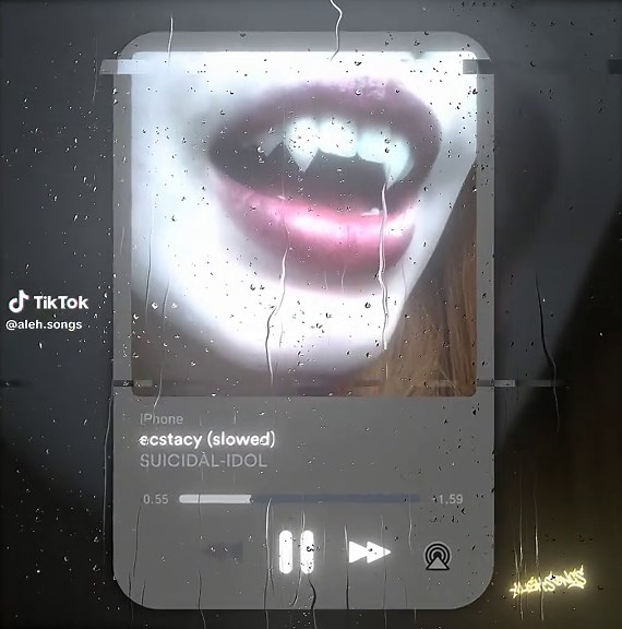 Ecstasy Slowed: Song Edit with Spotify Lyrics and Translation