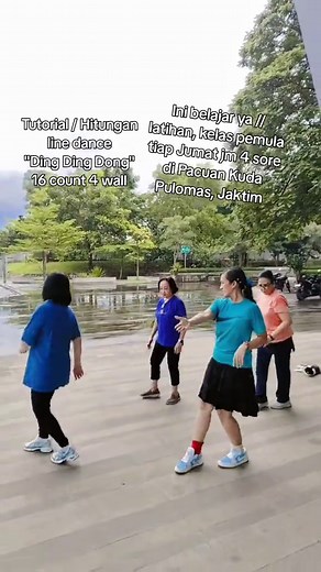 Beginner Tutorial for Line Dance