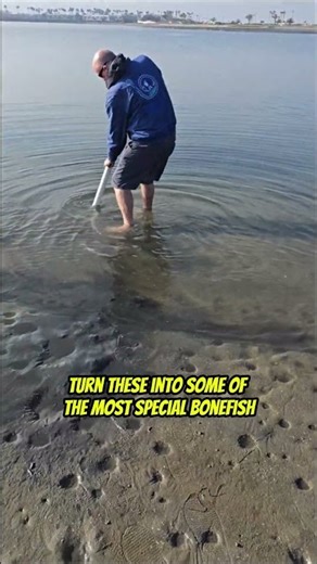 Catching Ghost Shrimp with Capt. Al Clowers!