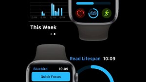 【APP安利】无需联网！可爱的待办事项APP ｜ Bluebird