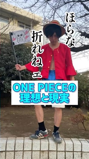 ONE PIECEの理想と現実【冬島】【ルフィ】【ほらな折れねェ】【チョッパー】【ワポル】