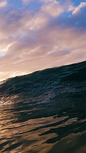 28K views · 1.1K reactions | Swimming in giant waves at sunset! #ocean #oceanwaves #surfing #surf #nature #sunset #reels | Dgphotography | Facebook