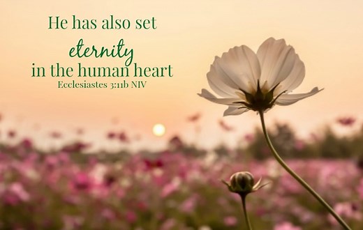 Funeral Sermon: “A Time for Everything”