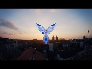 LANA DEL REY - National Anthem (Steve Nash Remix)