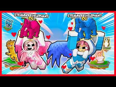 ATUN & MOMON BECOME AN ANGEL COUPLE IN FLY FOR BRAINROT!! Feat @sapipurba Roblox