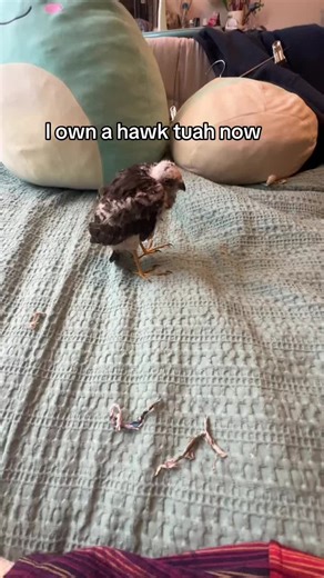 THIS WAS A JOKE, HE IS NOW IN PROFESSIONALS CARE. #fyp