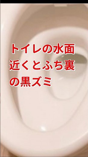 【トイレの水面近くとふち裏の黒ズミ】