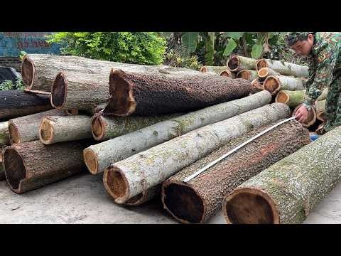 You Won't Believe What He Did With This Seemingly Useless Log || Unique Woodworking Ideas