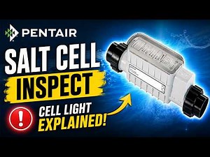 Don't Ignore This Pentair Warning Light! #swimming #swimmingpool #pentair