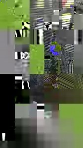 This deadly eastern brown snake just wouldn’t take no for an answer. It kept on trying to get into this Sunshine Coast home, in Queensland, until finally slithering away. 📸 Thanks to @sunshinecoastsnakecatchers for sharing their video. #ABCNews #Queensland #Snake #easternbrown | ABC Brisbane