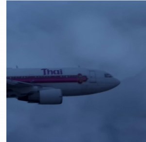 Tragic Crash of Thai Airways Flight 311