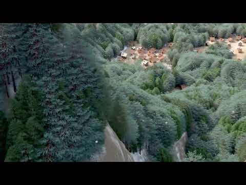 Procedural Terrain Study | Houdini