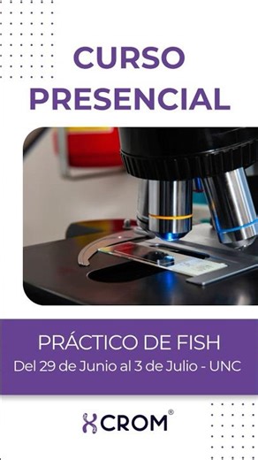 CURSO PRÁCTICO FISH