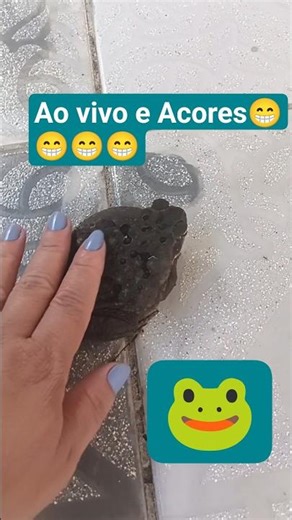 que gracinha 🐸