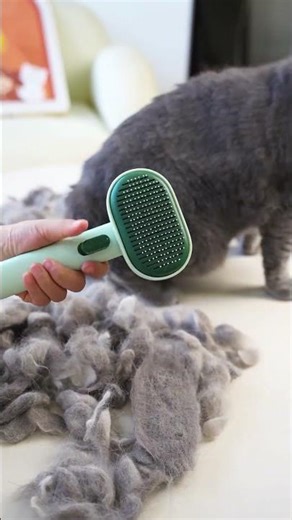 aumuca Cat Comb | Reduce Shedding & Hairballs FAST