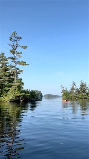 7.3K views · 210 reactions | We can't get enough of how warm it's been this summer. Getting out for a paddle and a swim has been our top thing to do this season!! Where is your favorite place to paddle? #saranaclake #paddling #canoeing #kayaking #adks #adirondackmountains | Saranac Lake ADK | Facebook