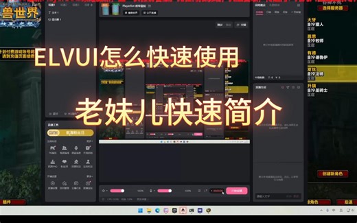 ELVUI插件界面，老妹儿速成简介