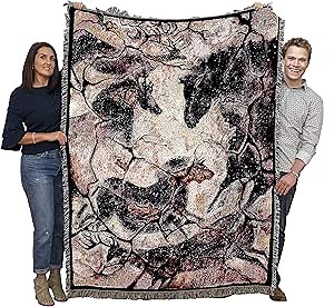 Pure Country Weavers Ancient Hall Blanket by Cecilia Henle - Southwest Cave Rock Art - Gift Tapestry Throw Woven from Cotton - Made in The USA (72x54)