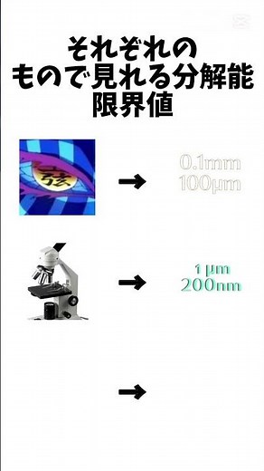 それぞれのもので見れる分解能の限界値#生物基礎#生物#顕微鏡#ミクロ