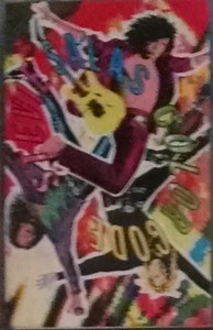 Stevie Salas Colorcode - Stevie Salas Colorcode