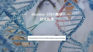 illumina-DNA测序技术原理