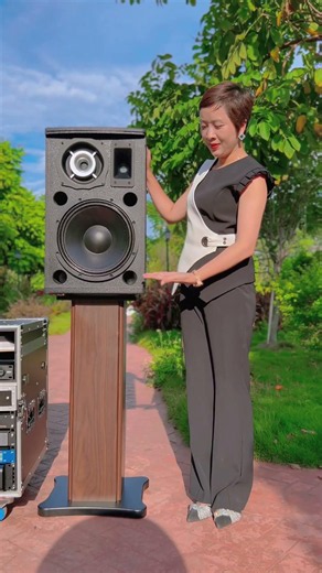 Yazoo CK-12 Indoorand OutdoorMultimedia Speakers