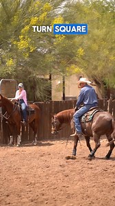 Part 8: I was recently asked how I start a horse on cattle. The horse I’m riding already has some experience, but the principles stay the same: before introducing a cow, your horse needs to do three things—go when you ask, stop when you ask, and turn when you ask. Without that foundation, you're not setting them up for success. #AlDunning #HorseTraining #CowHorse #CuttingHorse #HorsemanTips #WesternPerformanceHorses | Horse Training | Starting on Cattle | Cutting Horse | Cow Sense | Horsemanship